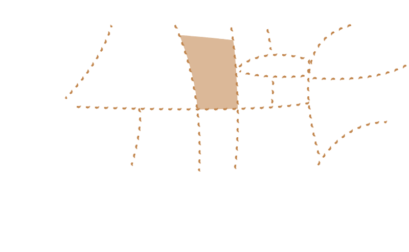Rib Eye Steak eines Rindes als Zeichnung