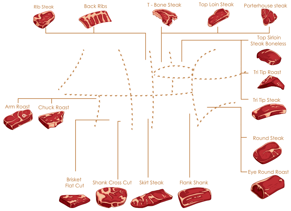 Rind Zeichnung Steak Arten